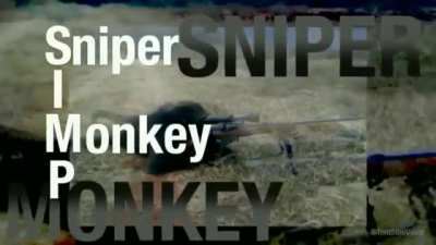 Yes, I'm a SIMP