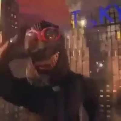 Godzilla vs ... king kong?
