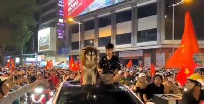 This big dog enamored all the football fans in a parade in Vietnam
