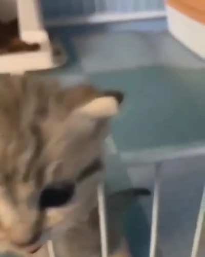 Let me out!!