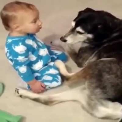 Baby finds a pillow