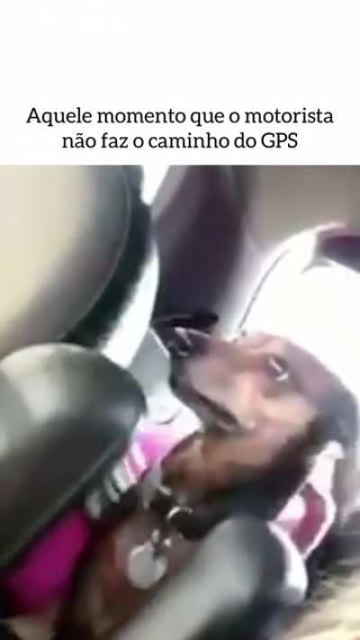 Bate o desespero