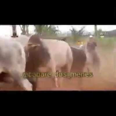 KkKkK