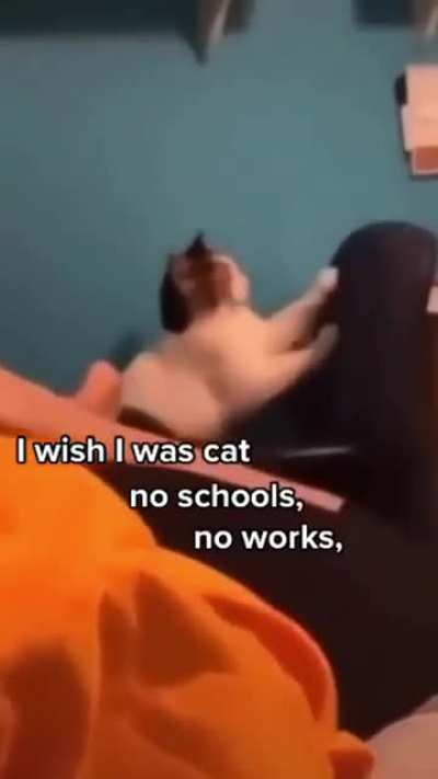 Just AA-