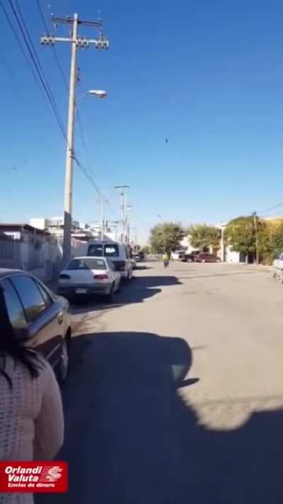 Шансов нет