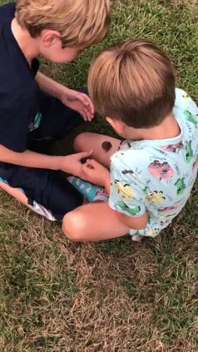My kids will finally catch their own toads without Moms help...well one will