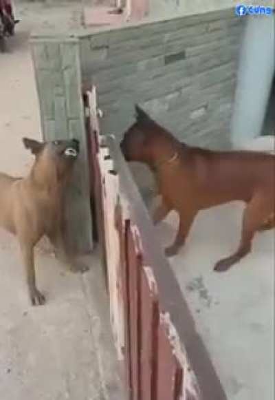 When there is a barrier such as a screen for example, and when we are in direct contact.