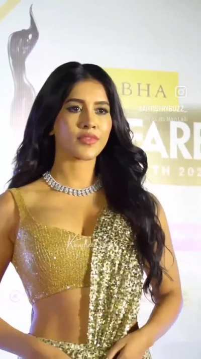 Nabha Natesh