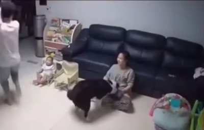 Wholesome family moments