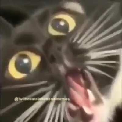 Mi cabeza despu&eacute;s de levantarme r&aacute;pido de la cama