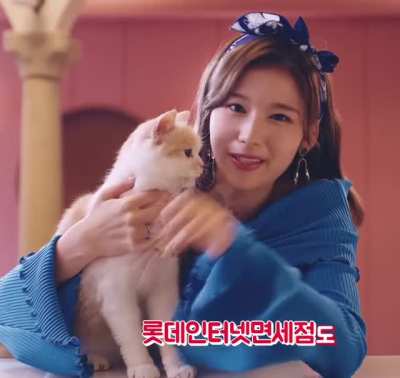 Sana Playing With Cat
