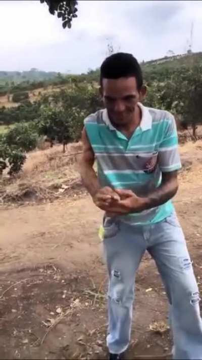 "Which way did he go?" He went that 👈👆👉👇 way