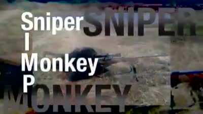 Make Sniper Monkey post flair