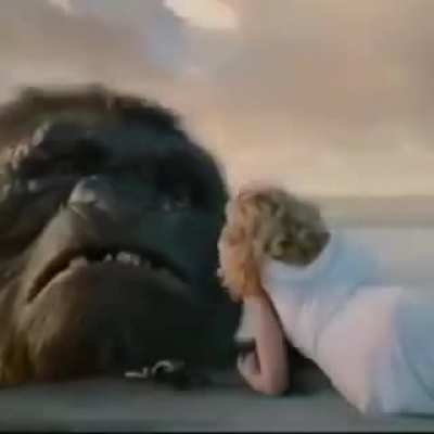 Macaco