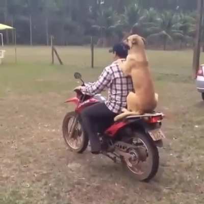 Get your motor running. Head out to the highway.