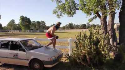 Man V.S Cactus