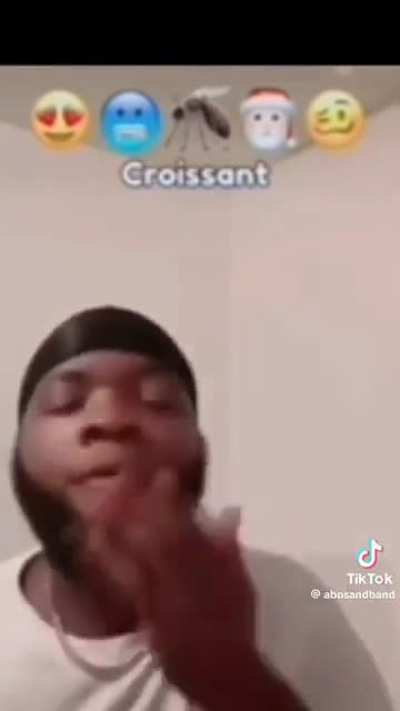 Not the mosquito again