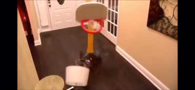 Hole in one