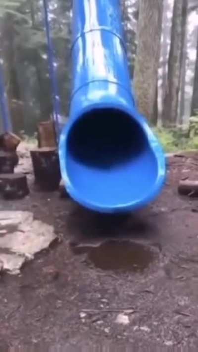 Didn&rsquo;t saw it coming