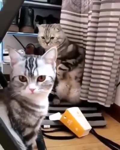 He can hide
