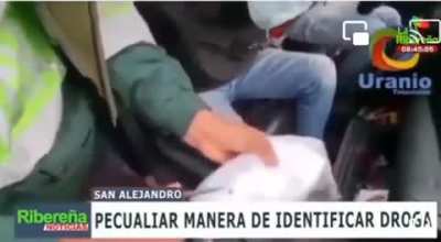 In Argentina, the police found a sophisticated way to check a bag of suspected substance