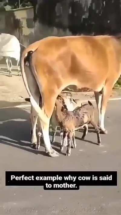Such selflessness