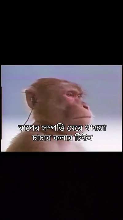 Sompotti udao 🤧