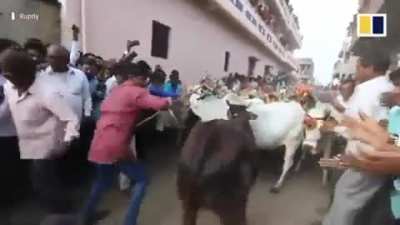 "Step on me mommy" Indian version