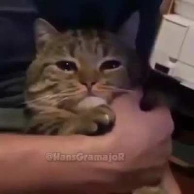 Me estas diciendo que en algun momento tendre que darle mi sub a otro streamer que no sea cristianghost?