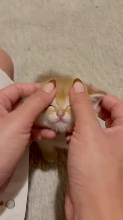 Right there, you&rsquo;ve hit the spot