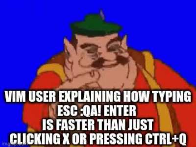Average Vim user
