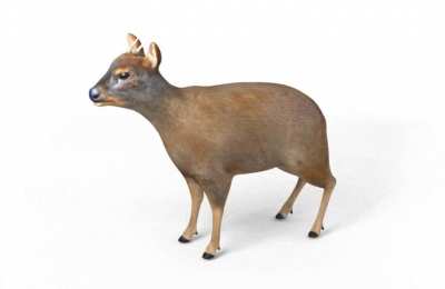Finally, 360 degrees Pud&uacute;