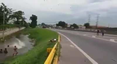 Frogger irl gone wrong
