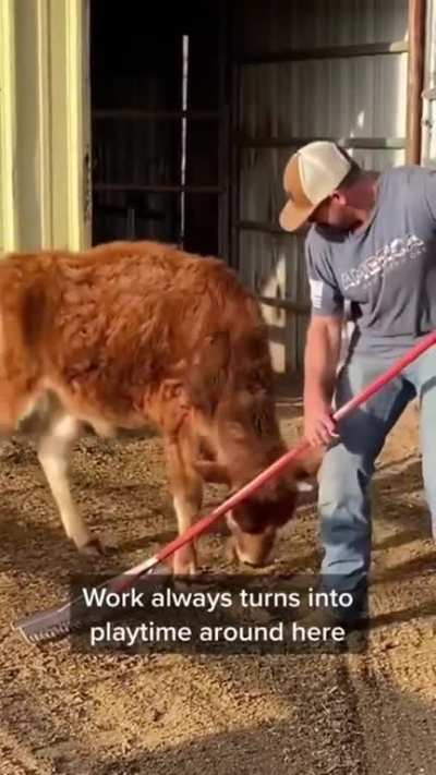 "work always turns into playtime around here"