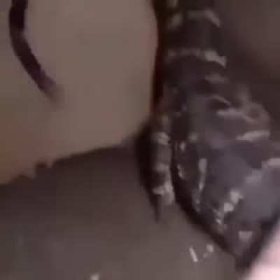 esto es tierno, extra&ntilde;o y preocupante al mismo tiempo