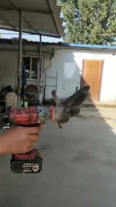 Spin that glove.