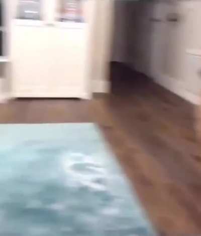 woof_irl