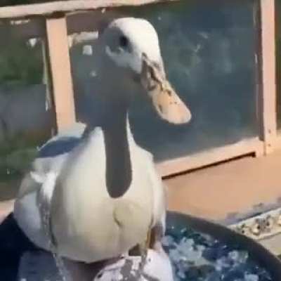 no context needed