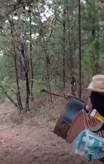 ThisLooksFun 