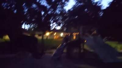 Swing Yeet