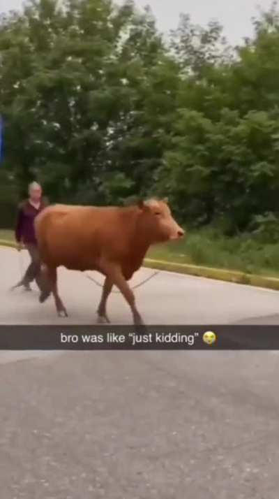 Maybe Maybe Maybe