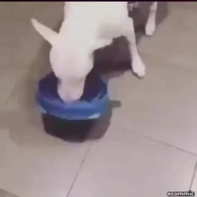 Slow Eating Bowl.