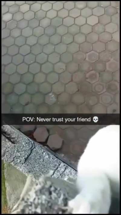 That betrayal😹
