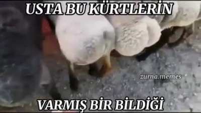 LDFMPCMDPXMDPSNDLDNS