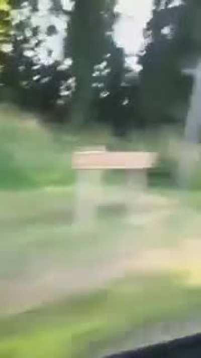 Harsh Yeet