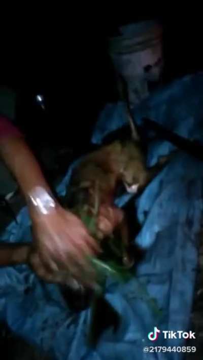 Cursed_india