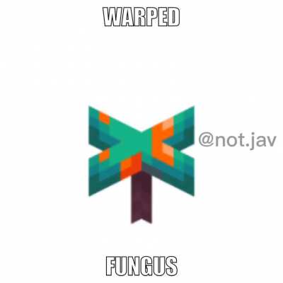 I&rsquo;ve started making memes and it&rsquo;s actually pretty fun.