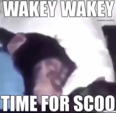 Time for schoo