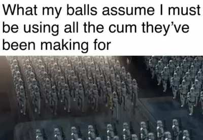 Magnificent, aren&rsquo;t they?