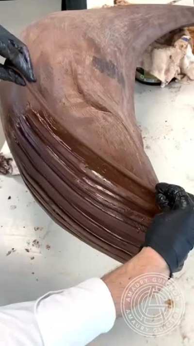 Whale done...